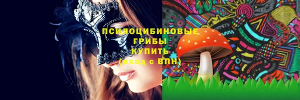 Альфа ПВП Алзамай