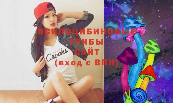 Альфа ПВП Алзамай